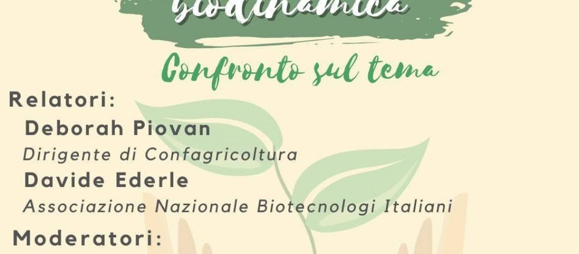 245813623_4625138037507829_5137428082432821576_n